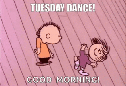 IMG_6460.gif