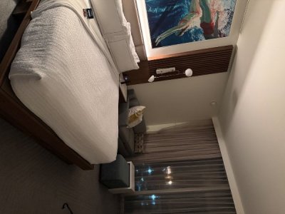 IMG_9334.jpeg