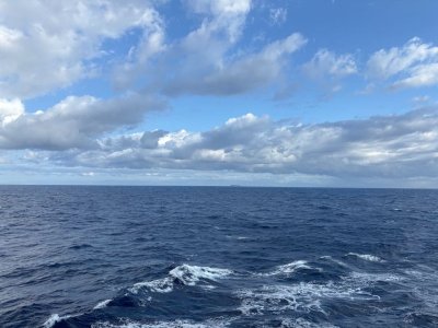 IMG_2963.jpeg