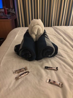 IMG_6426.jpeg