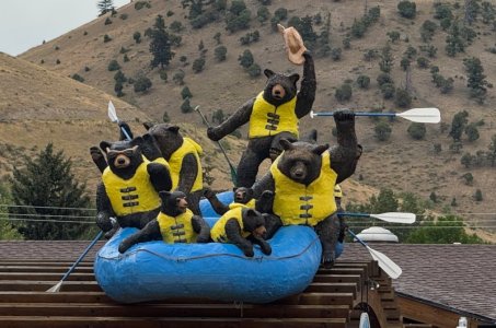 whitewater_bears.jpg