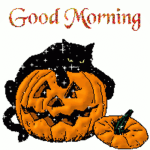 IMG_6512.gif IMG_6512.gif