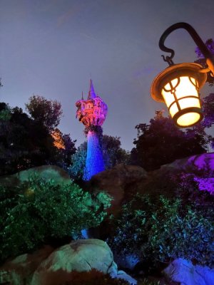 WDW MK light fixture.jpg