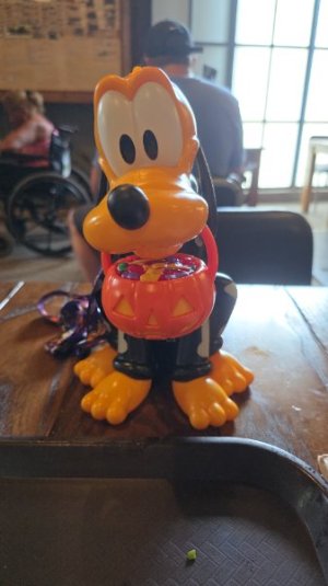IMG-20250904-WA0046.jpeg