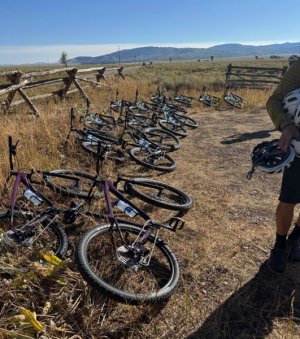 bikes_1.jpg