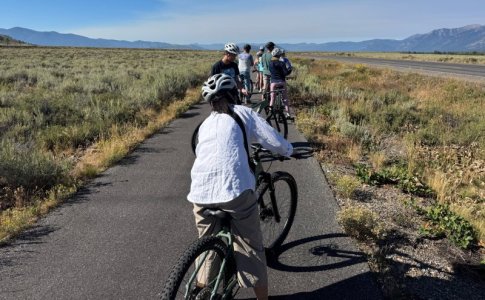 bikes_4.jpg