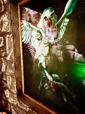 IMG_1944.jpeg
