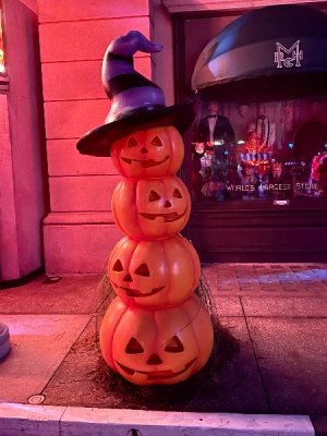 IMG_2396.jpeg