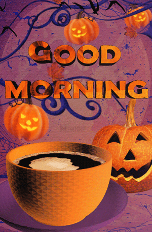 IMG_6523.gif
