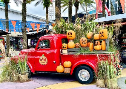 IMG_0955.jpeg