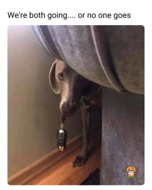 68ba9c37c7980.png