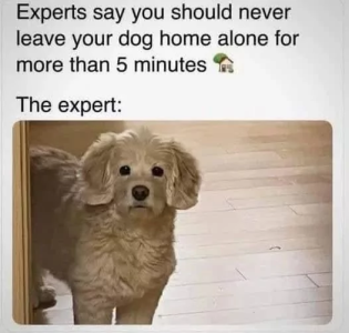 68ba9c82aa6c7.png