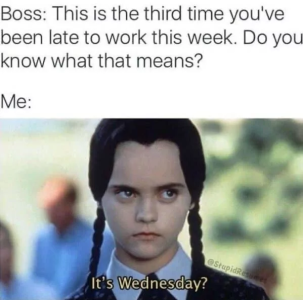 68ba9e44c48b2.png