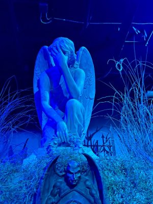 IMG_2403.jpeg