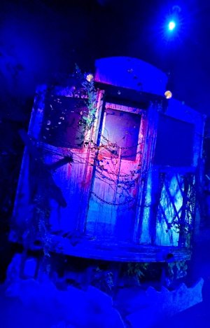 IMG_1155.jpeg