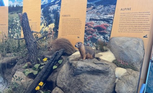 visitor_center_2.jpg