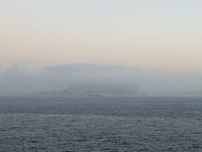 IMG_2984.jpeg