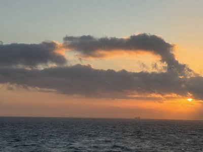 IMG_2994.jpeg