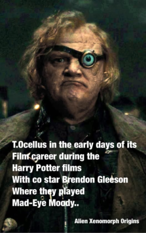 1757196748325.png