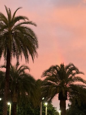 IMG_1731.jpeg
