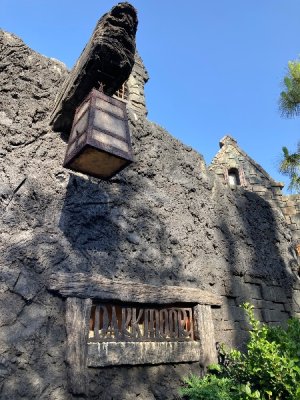 IMG_4354.jpeg