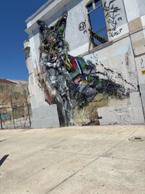 IMG_3115.jpeg