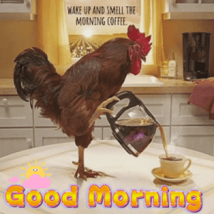 IMG_6559.gif