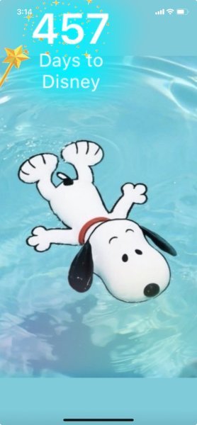 SNOOPY FLOAT.jpeg