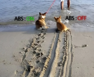 abs.png