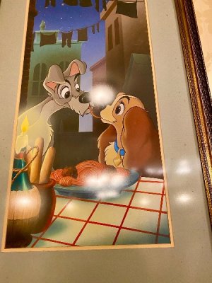 IMG_0357.jpeg
