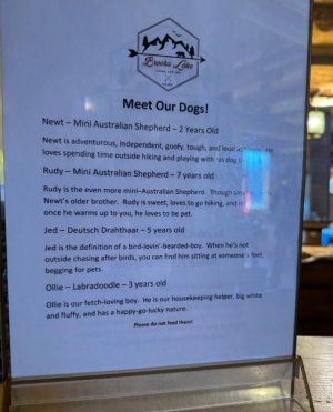 Brooks_dogs_1.jpg