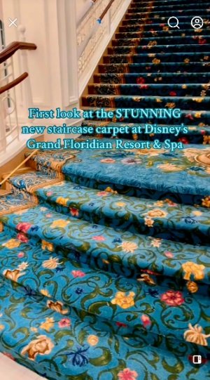 IMG_8793.jpeg