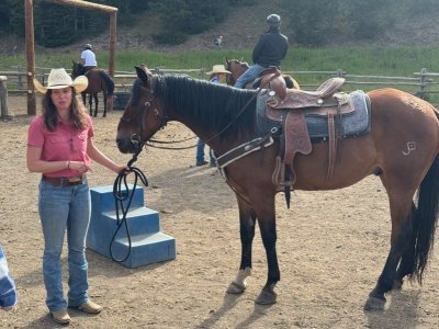 horse_3.jpg