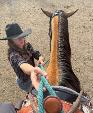 horse_4.jpg