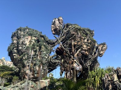 IMG_2133.jpeg