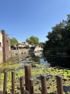 IMG_2139.jpeg