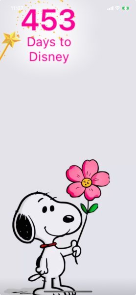 SNOOPY FLOWER.jpeg