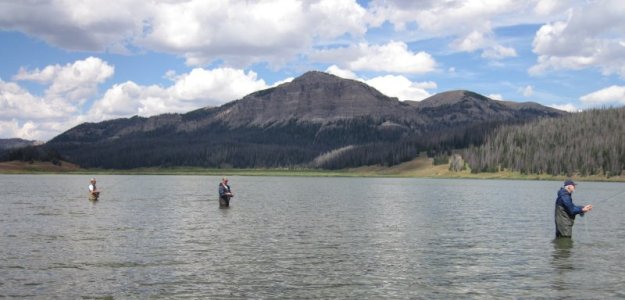 fish_2.jpg