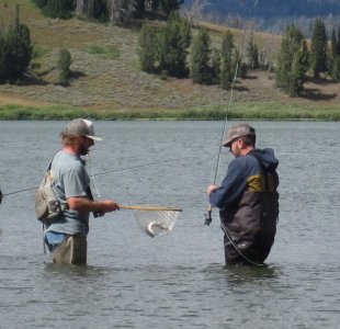 fish_3.jpg