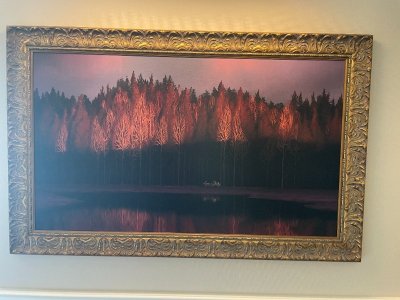 IMG_0532.JPG