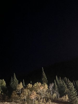 IMG_3559.jpeg