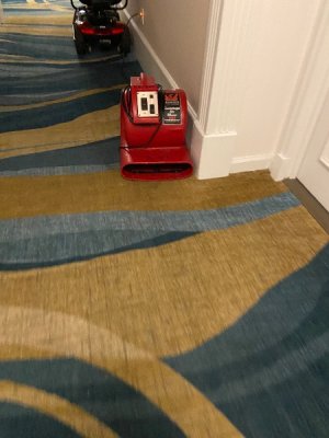 IMG_5284.jpeg