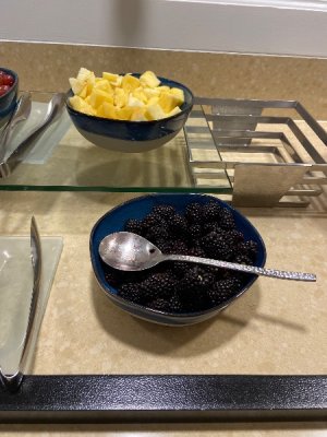 IMG_5319.jpeg