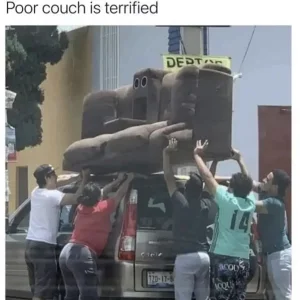 couch.webp