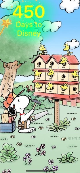 SW BIRDY HOUSES.jpeg