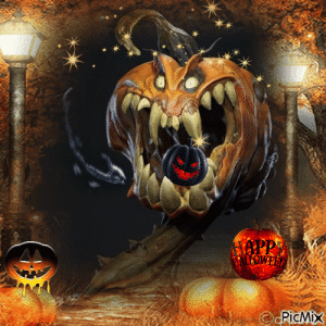 IMG_6125.gif