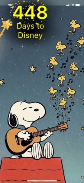 SW GUITAR BIRDIES.jpeg