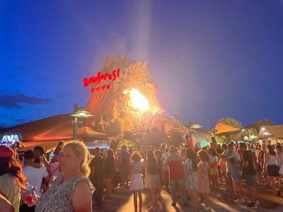 IMG_1081.jpeg