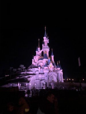 IMG_2406.jpeg