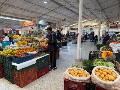 IMG_8442.jpeg